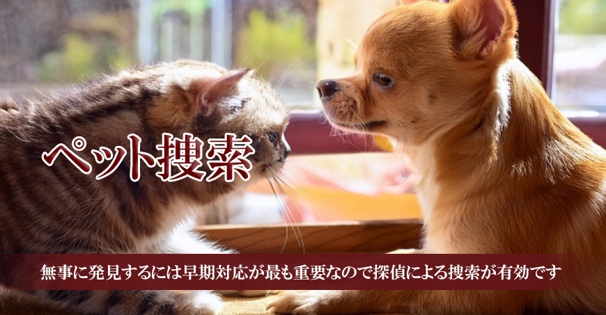 【世田谷区、目黒区　探偵】ペット捜索｜世田谷区、目黒区でペット捜索で探偵をお探しならスマイルエージェント世田谷にお任せください。