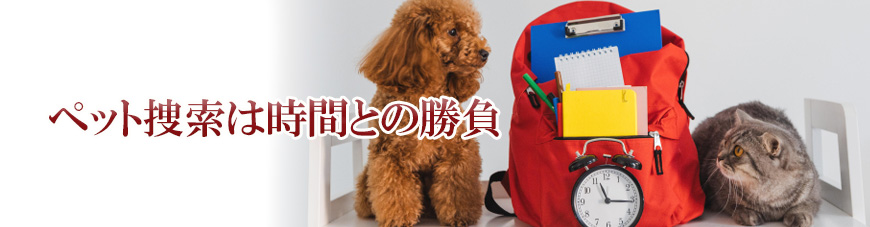【世田谷区、目黒区　探偵】ペット捜索｜世田谷区、目黒区でペット捜索で探偵をお探しならスマイルエージェント世田谷にお任せください。