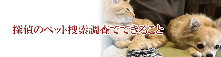 【世田谷区、目黒区　探偵】ペット捜索｜世田谷区、目黒区でペット捜索で探偵をお探しならスマイルエージェント世田谷にお任せください。